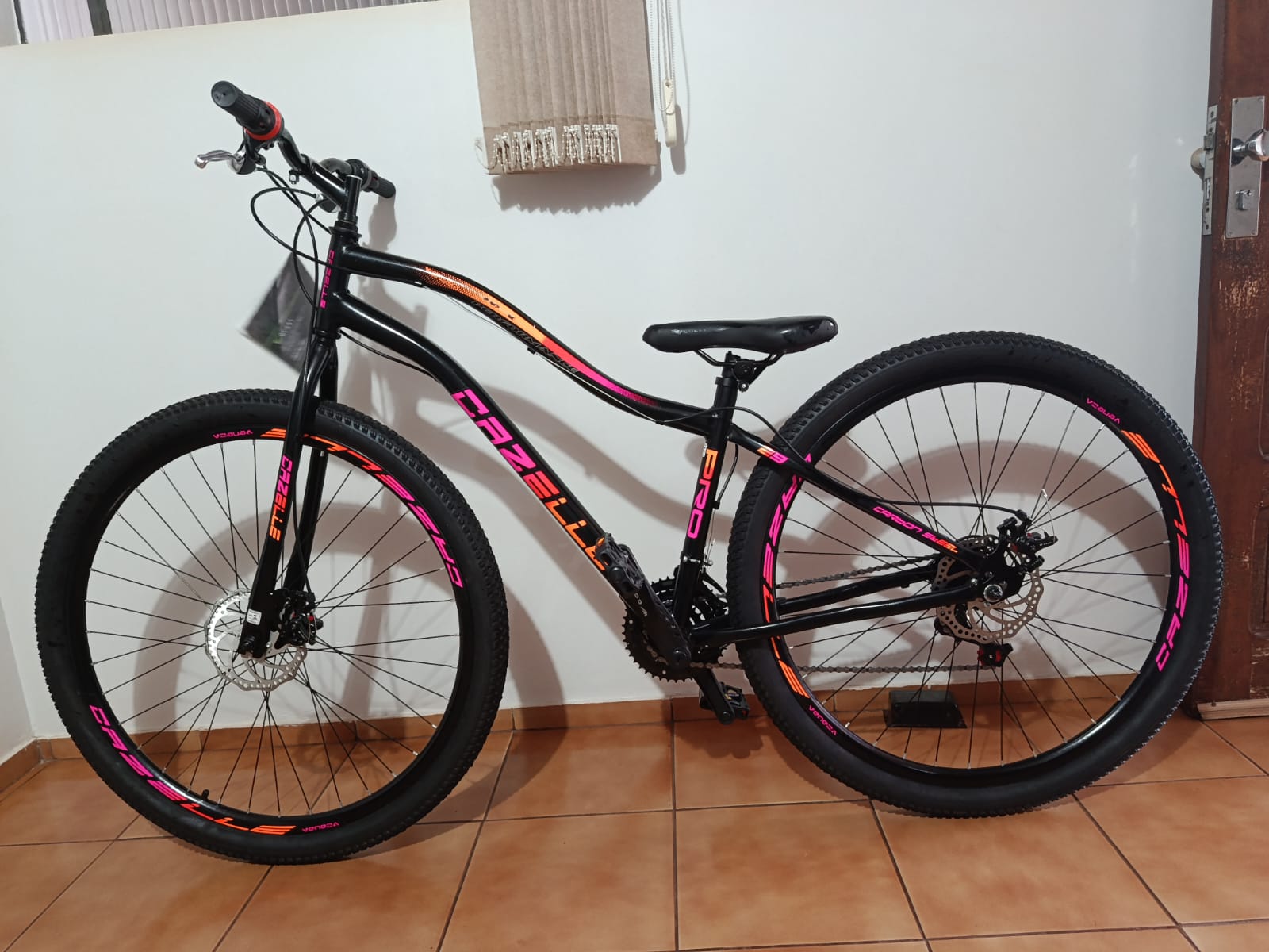 1 Bicicleta